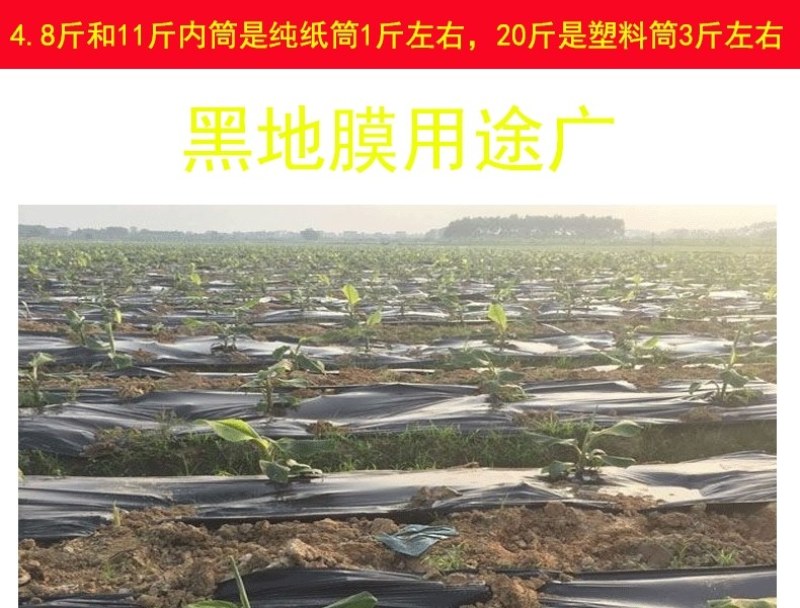 农用加厚抗老化黑地膜塑料薄膜除草保温保湿防草大棚果树种地