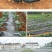 农用加厚抗老化黑地膜塑料薄膜除草保温保湿防草大棚果树种地