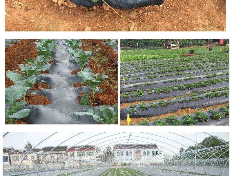 农用加厚抗老化黑地膜塑料薄膜除草保温保湿防草大棚果树种地