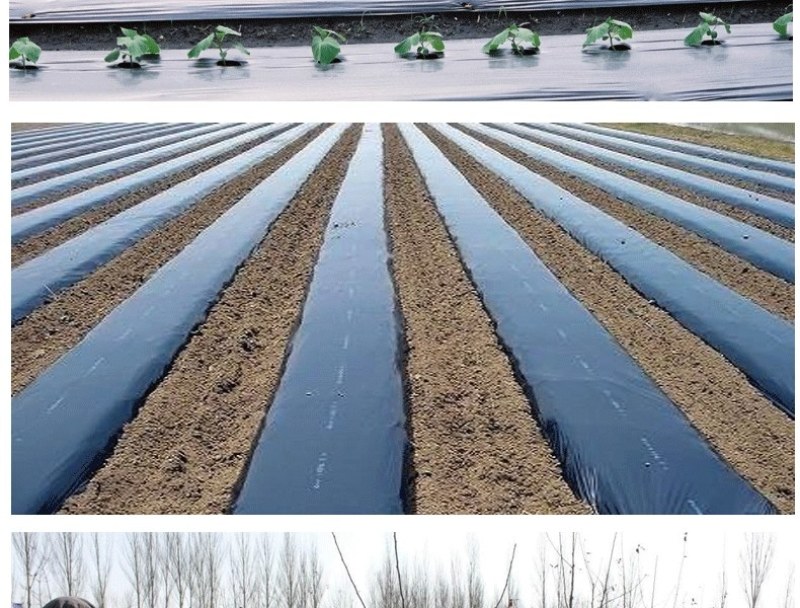 农用加厚抗老化黑地膜塑料薄膜除草保温保湿防草大棚果树种地