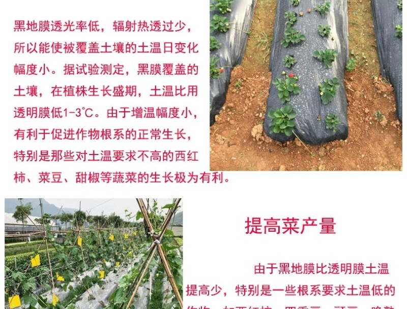 农用加厚抗老化黑地膜塑料薄膜除草保温保湿防草大棚果树种地