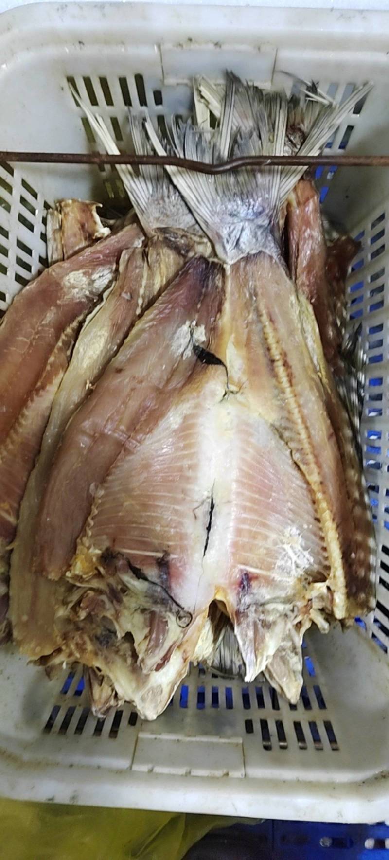 鲢鱼干去头鲢鱼干白鲢花鲢鱼干