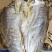 鲢鱼干去头鲢鱼干白鲢花鲢鱼干