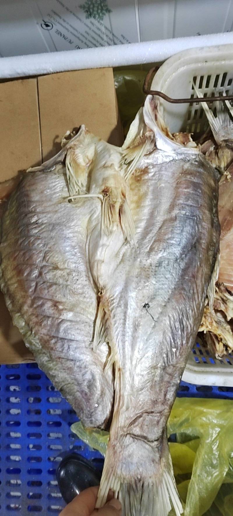 鲢鱼干去头鲢鱼干白鲢花鲢鱼干