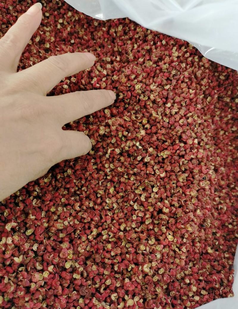 大红袍花椒/花椒/产地直发品质好需要的老板电话联系