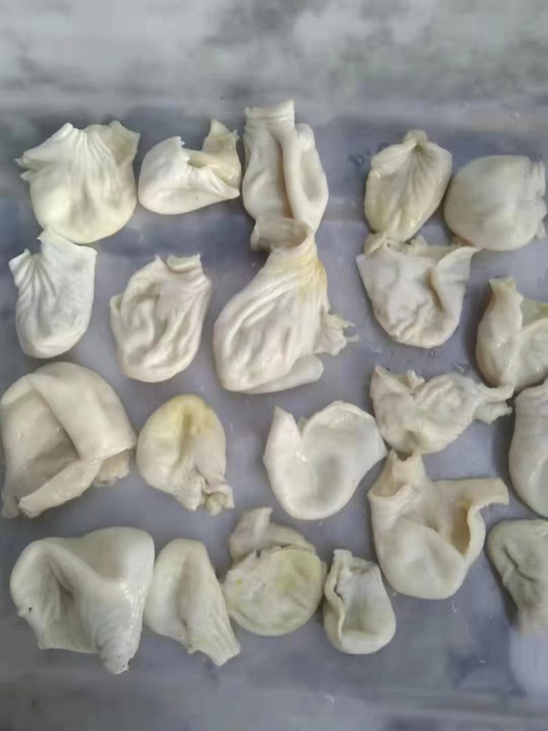 鸡嗉皮
