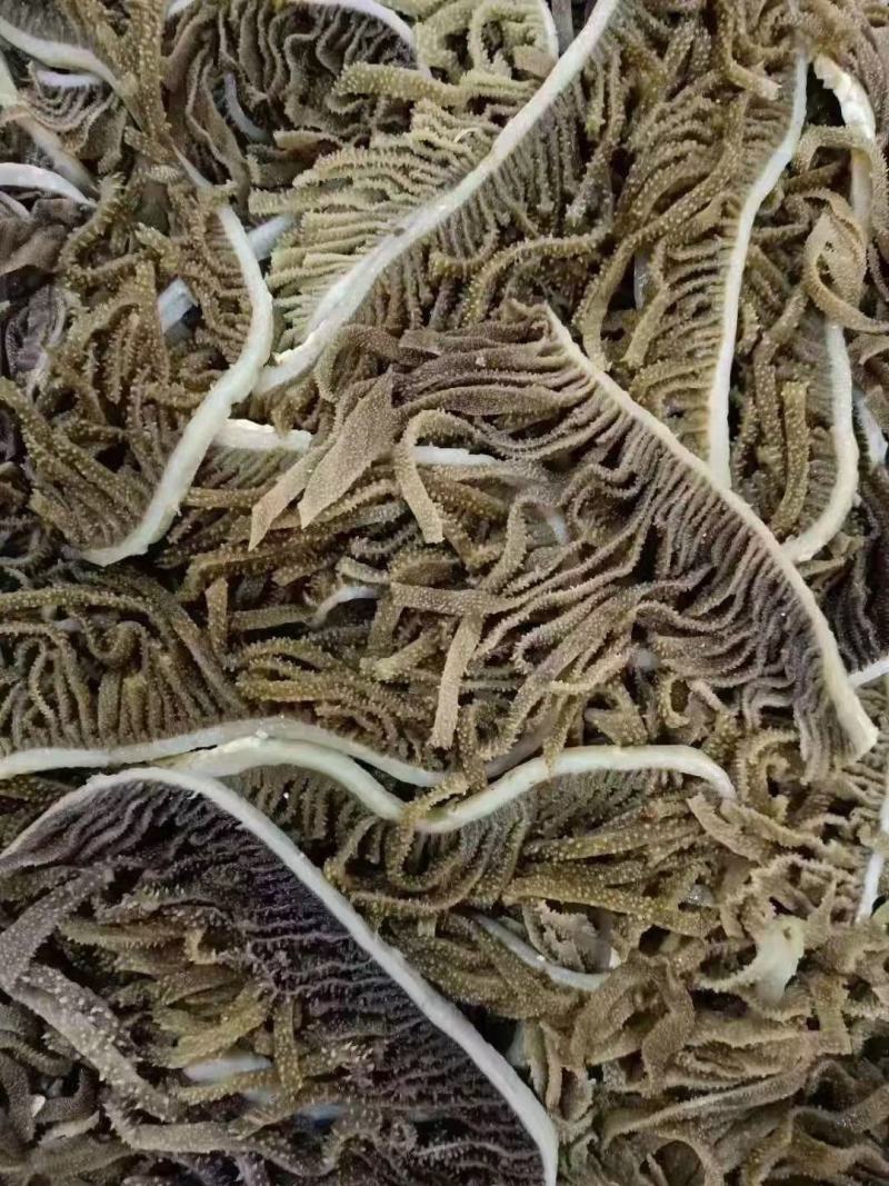 黑千层肚丝，黑毛肚丝，火锅毛肚百叶