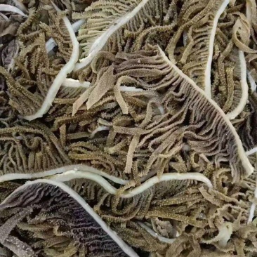 黑千层肚丝，黑毛肚丝，火锅毛肚百叶