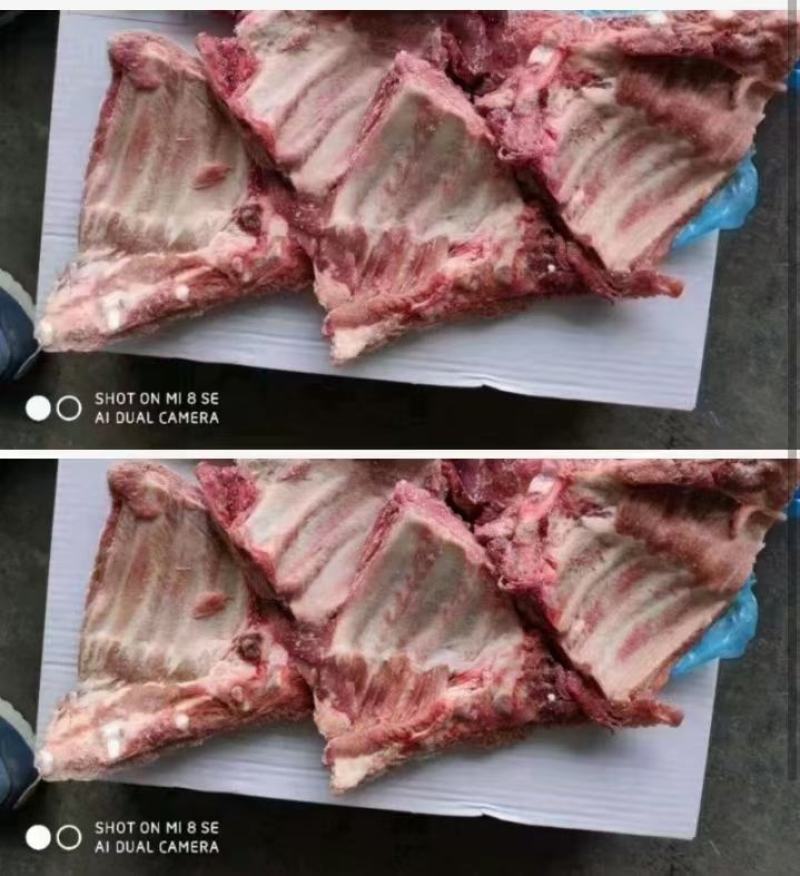 700多肉小排，一手货源，证件齐全，现货出售，厂家直销