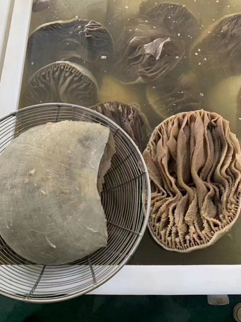 毛肚百叶，整毛肚，整百叶，黑毛肚，白百叶，整肚