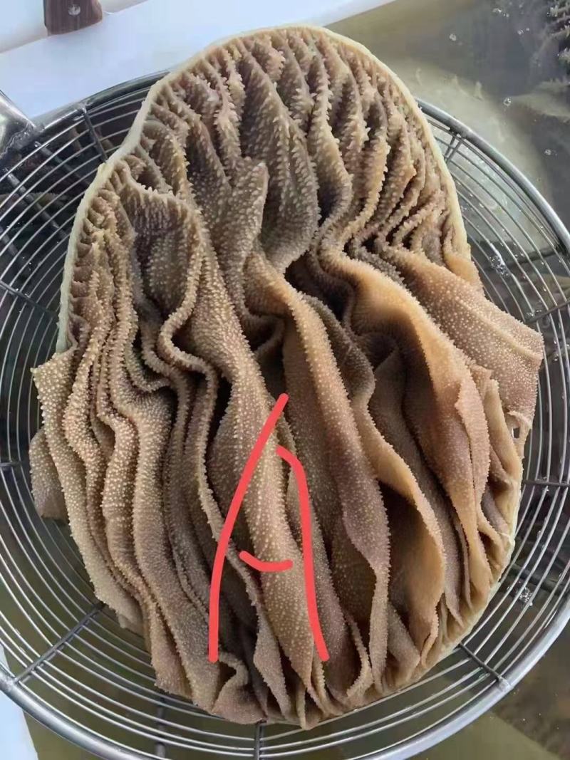 毛肚百叶，整毛肚，整百叶，黑毛肚，白百叶，整肚