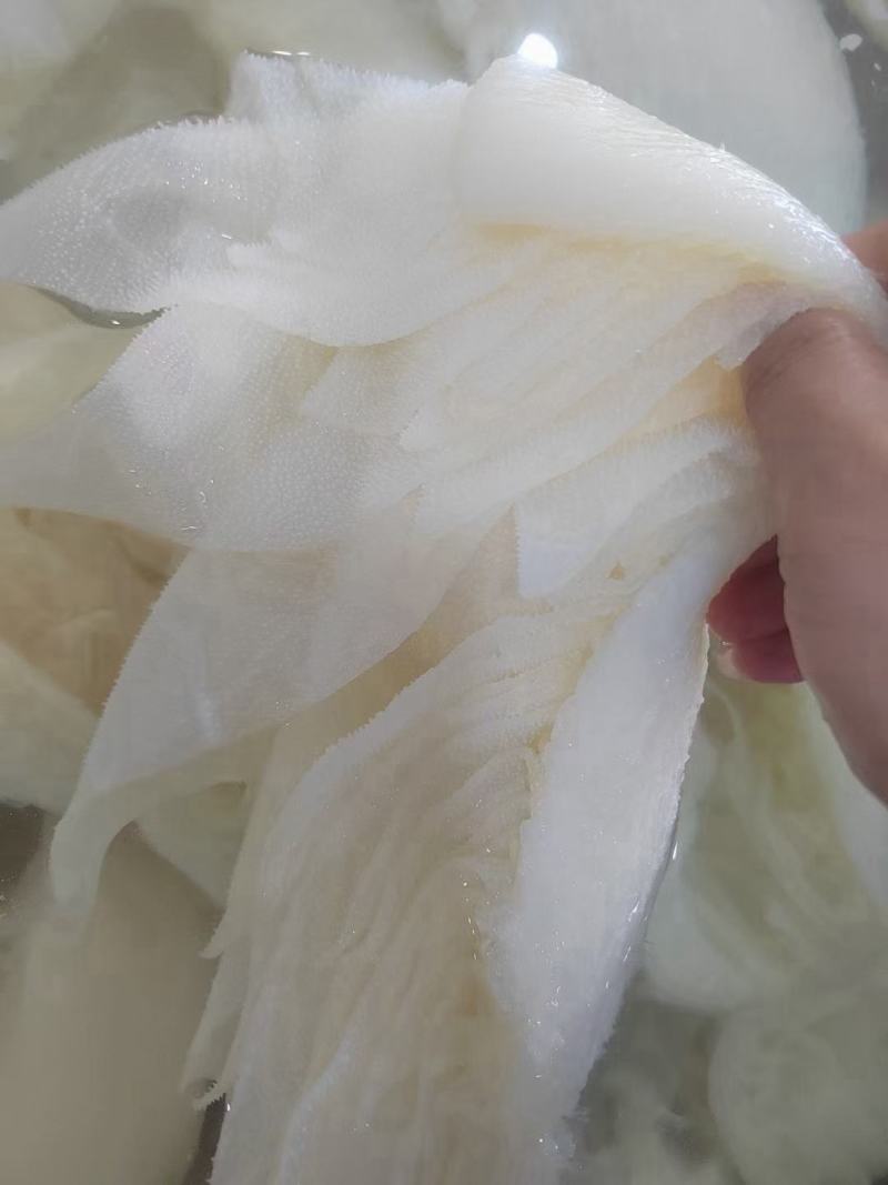 毛肚百叶，整毛肚，整百叶，黑毛肚，白百叶，整肚