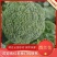 【荐】精品西兰花，万亩基地，电商平台，整车供应，代发全国