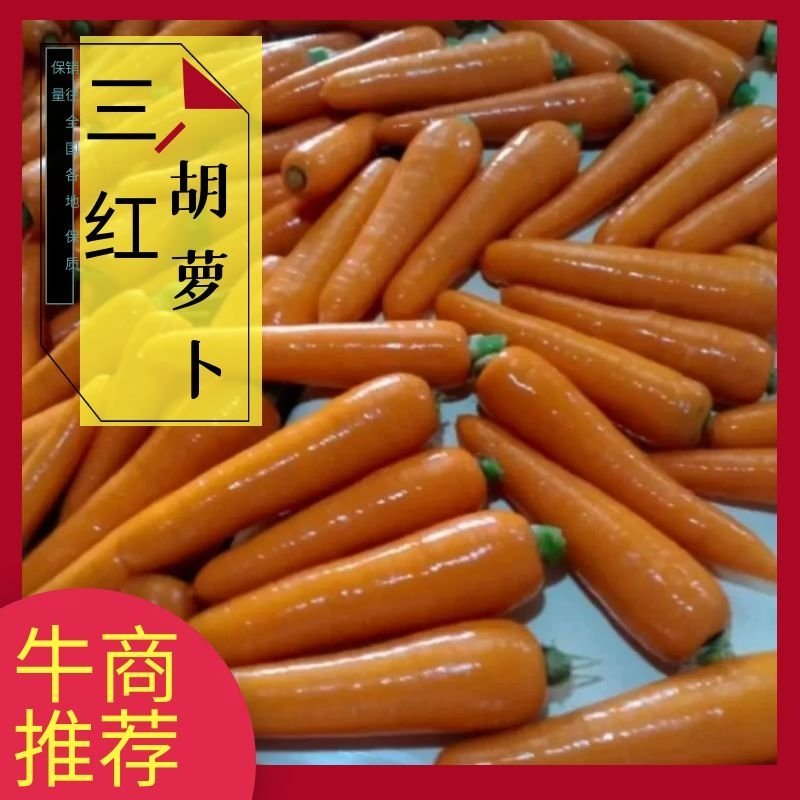 精品三红胡萝卜产地大量供应电商平台超市全国发货