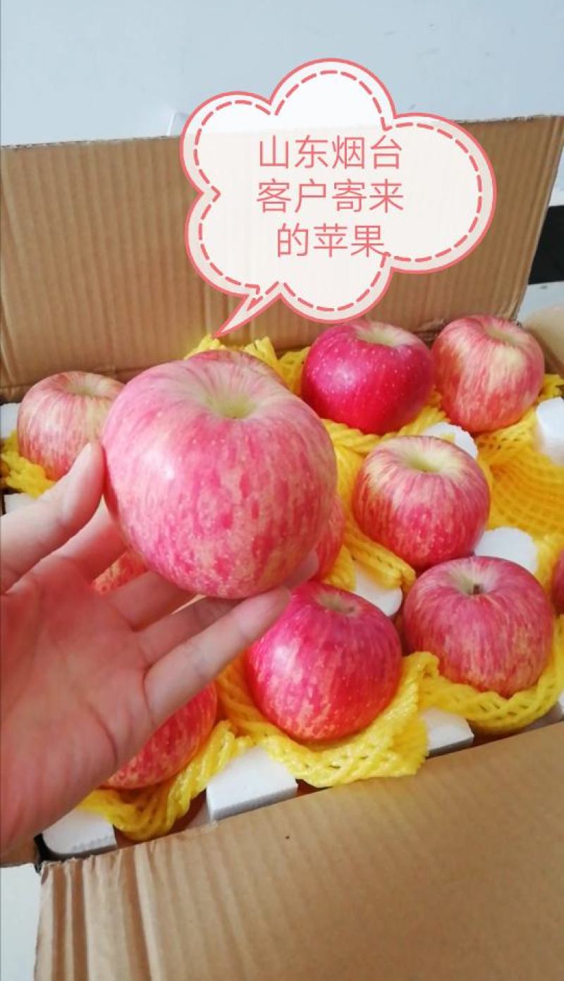 生物有机肥苹果专用肥生物菌肥厂家直销现货