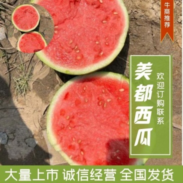 美都西瓜9成熟原产地发货全国代发整车大量供应