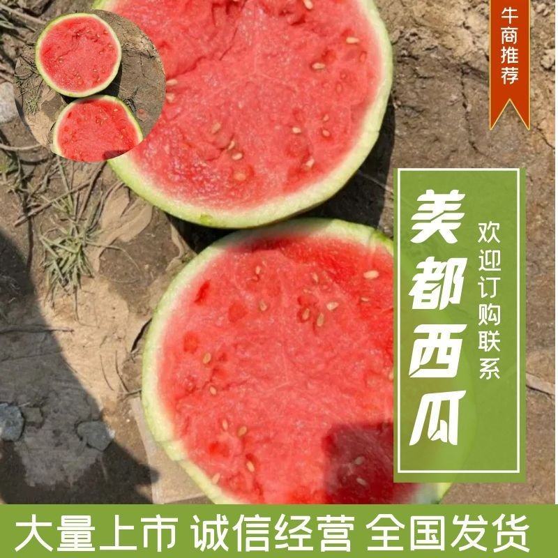 美都西瓜9成熟原产地发货全国代发整车大量供应