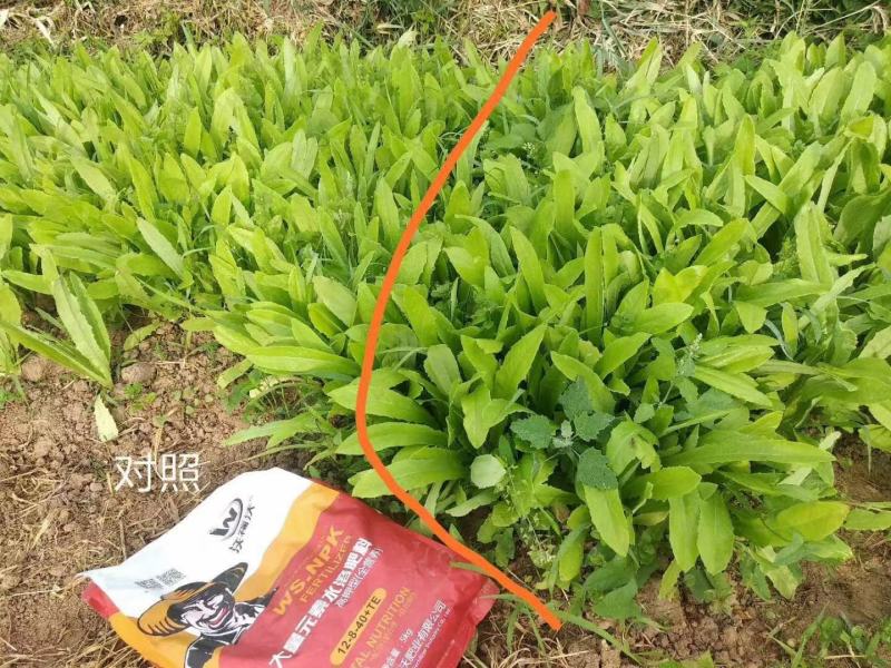 大量元素水溶肥平衡型高钾型微量元素全水溶现货