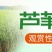 芦苇，芦苇苗，白洋淀芦苇苗，根系发达，成活率高电联