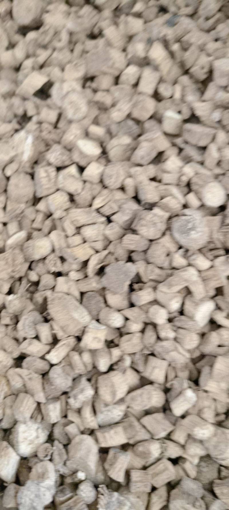 川牛膝牛膝现货供应实物实拍批发各种中药材欢迎选购