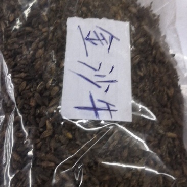 金沙牛一公斤一袋清水足干十公斤包邮量大优惠要多少都可以
