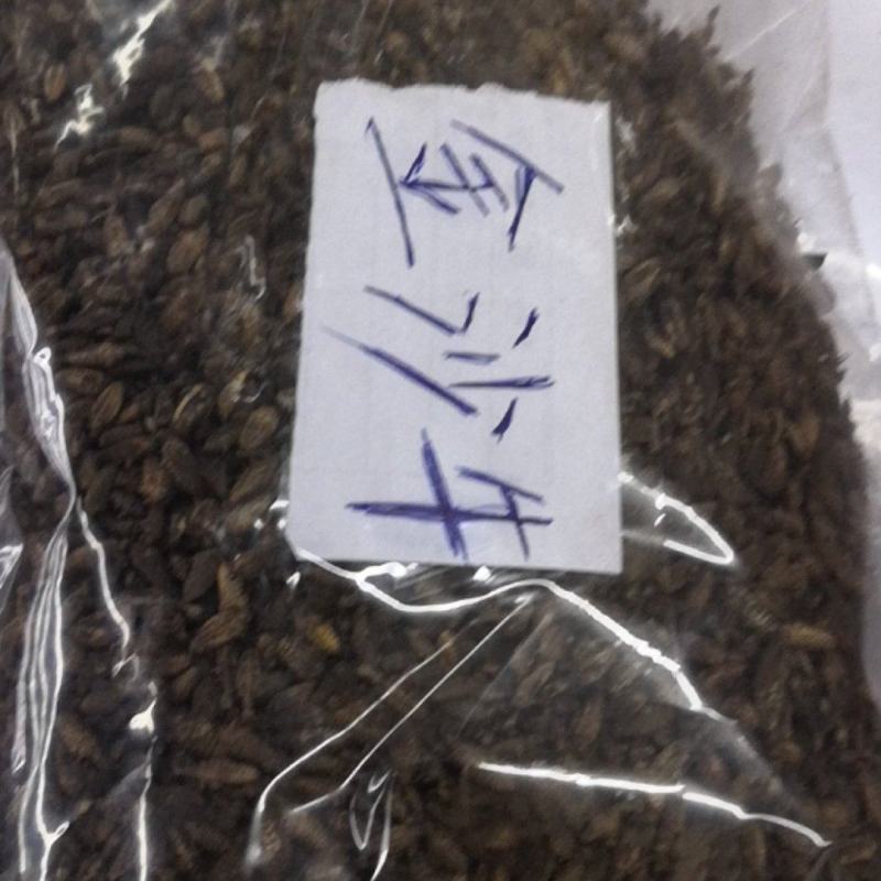 金沙牛一公斤一袋清水足干十公斤包邮量大优惠要多少都可以