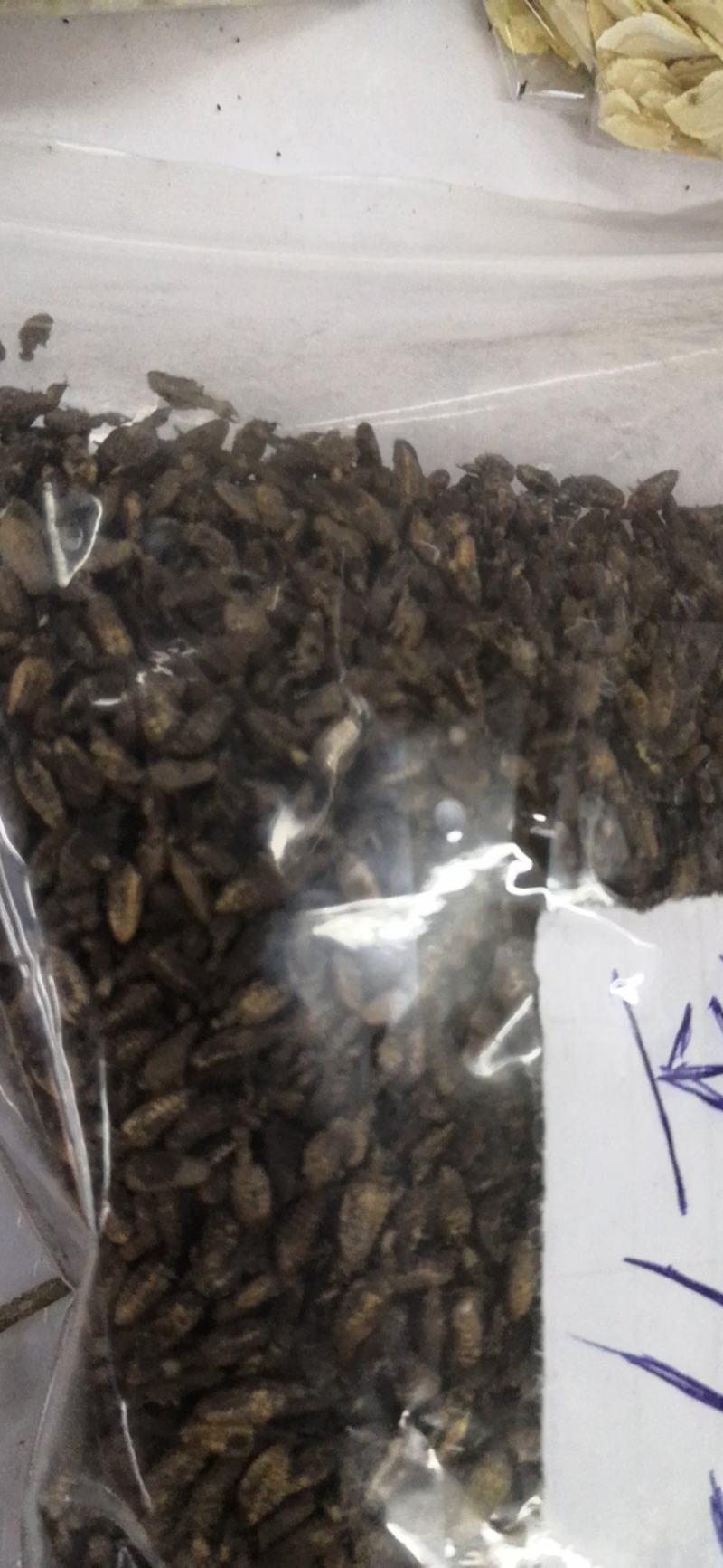金沙牛一公斤一袋清水足干十公斤包邮量大优惠要多少都可以