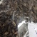 金沙牛一公斤一袋清水足干十公斤包邮量大优惠要多少都可以