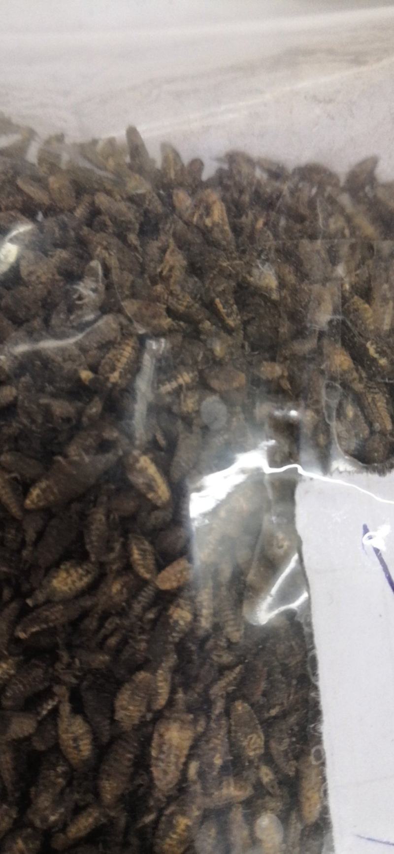 金沙牛一公斤一袋清水足干十公斤包邮量大优惠要多少都可以