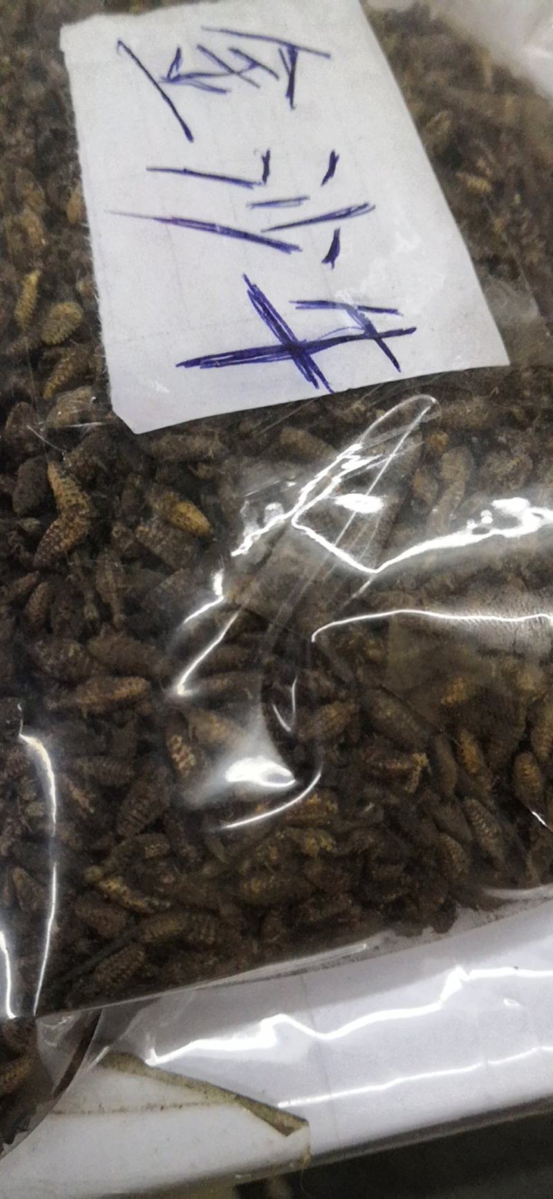 金沙牛一公斤一袋清水足干十公斤包邮量大优惠要多少都可以