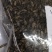 金沙牛一公斤一袋清水足干十公斤包邮量大优惠要多少都可以