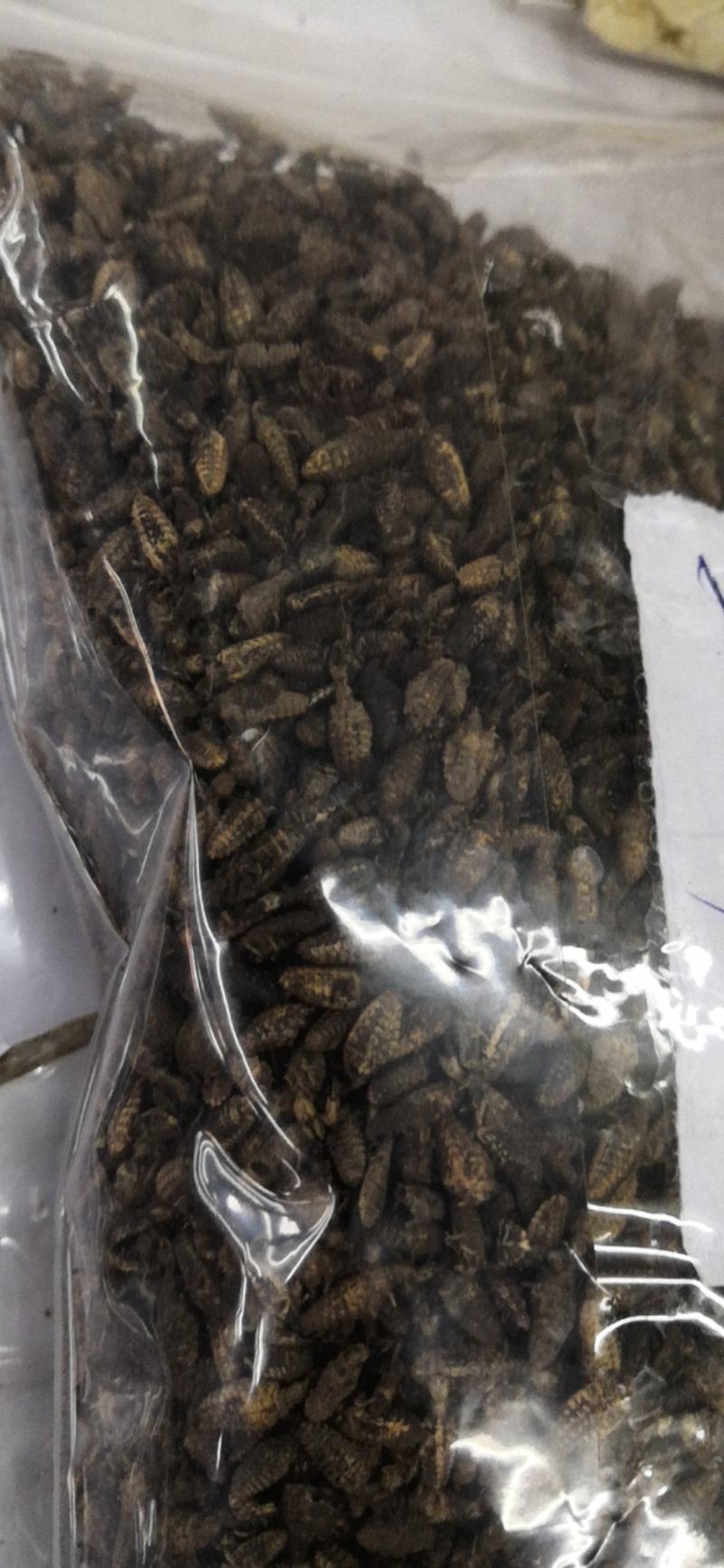 金沙牛一公斤一袋清水足干十公斤包邮量大优惠要多少都可以