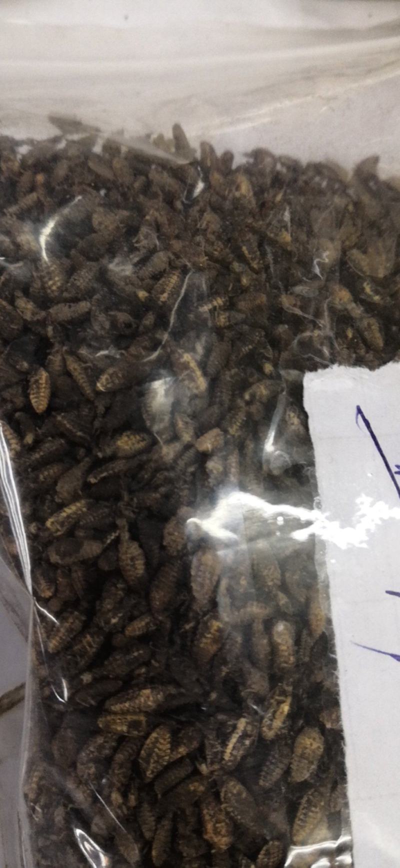 金沙牛一公斤一袋清水足干十公斤包邮量大优惠要多少都可以