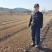 东北连翘小苗连翘苗货源充足产地直发全国邮寄连翘
