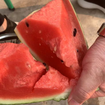 精品甜王西瓜云南西瓜皮二西瓜货源充足老挝缅甸