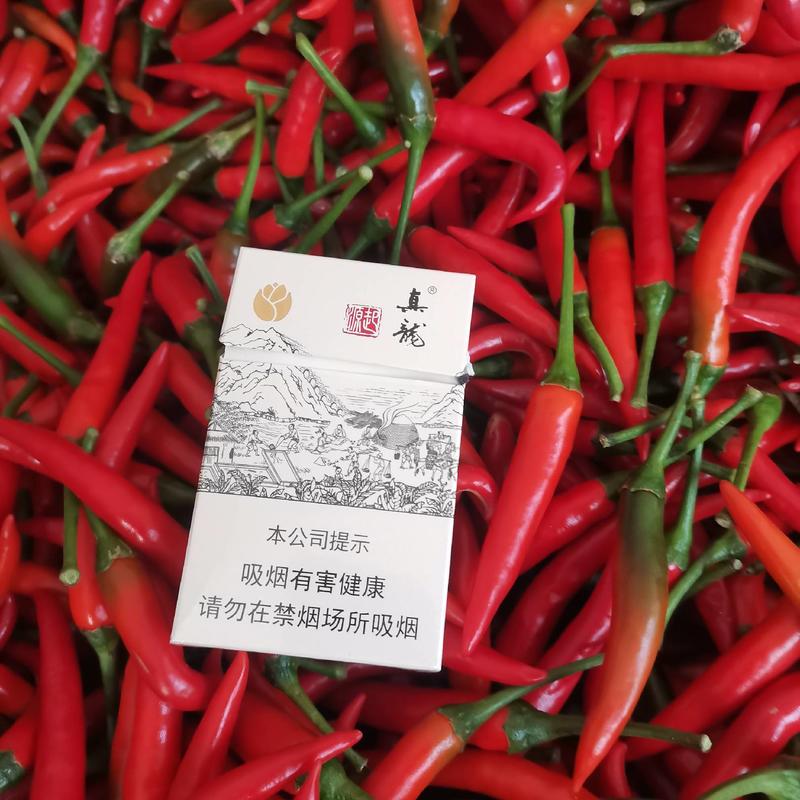 广西新小米椒，大量供应，产地一手货源，质量保证，货源充足
