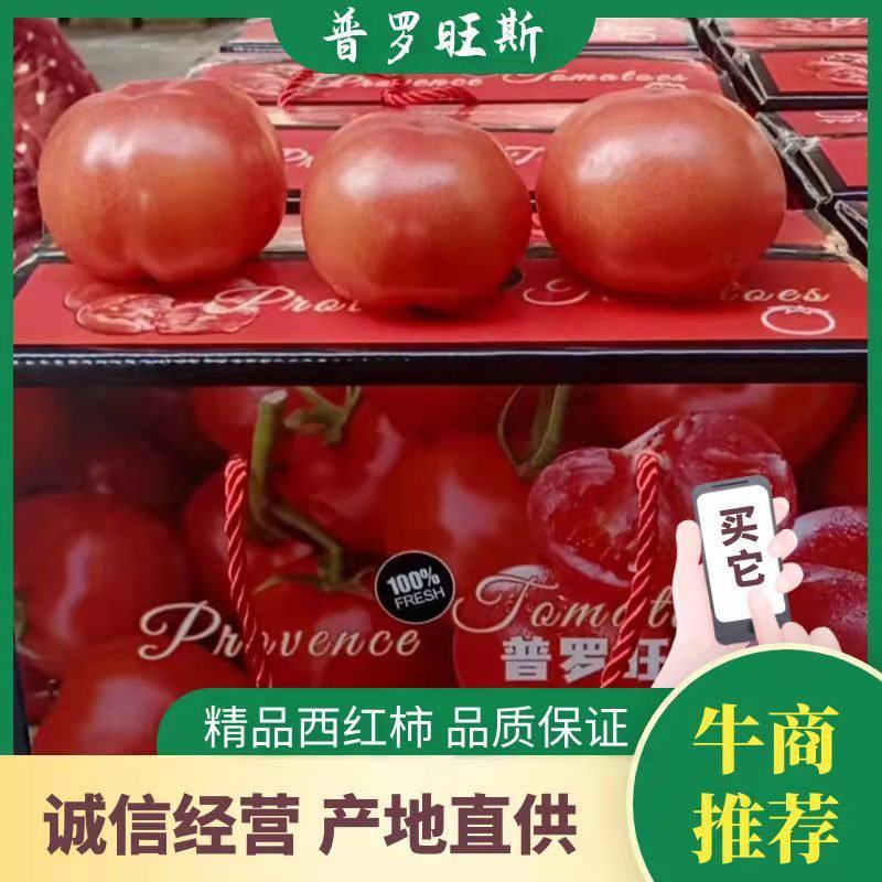 普罗旺斯水果西红柿，产地直供，一手货源，人工挑选电询
