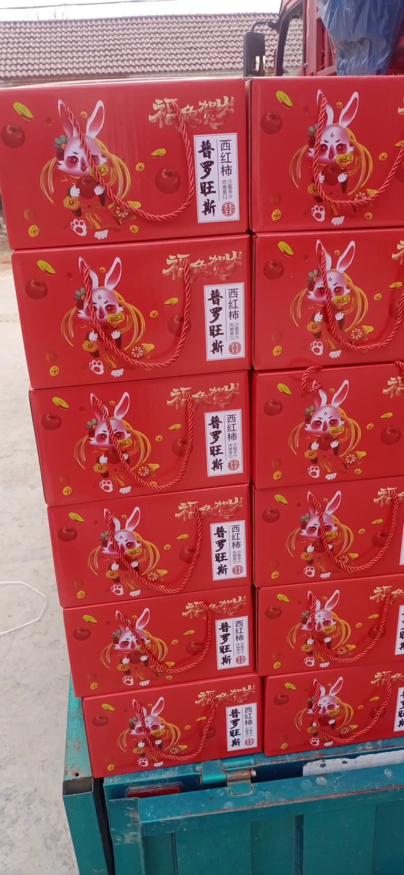 普罗旺斯水果西红柿，产地直供，一手货源，人工挑选电询