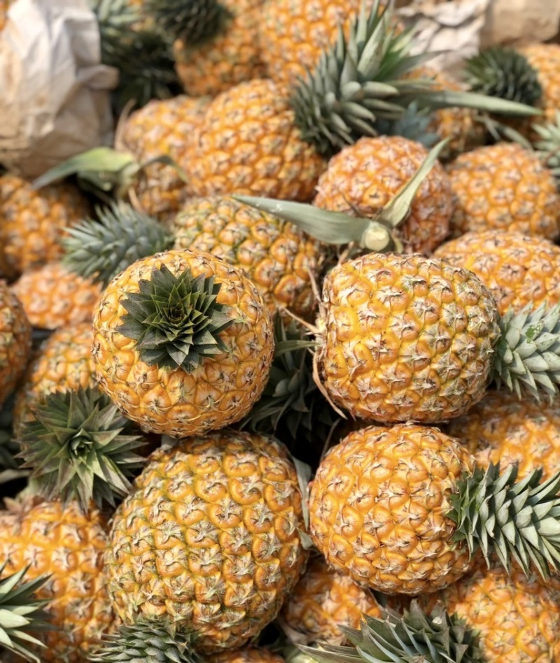 【推荐】菠萝基地货源量大从优可视频看货一手货源