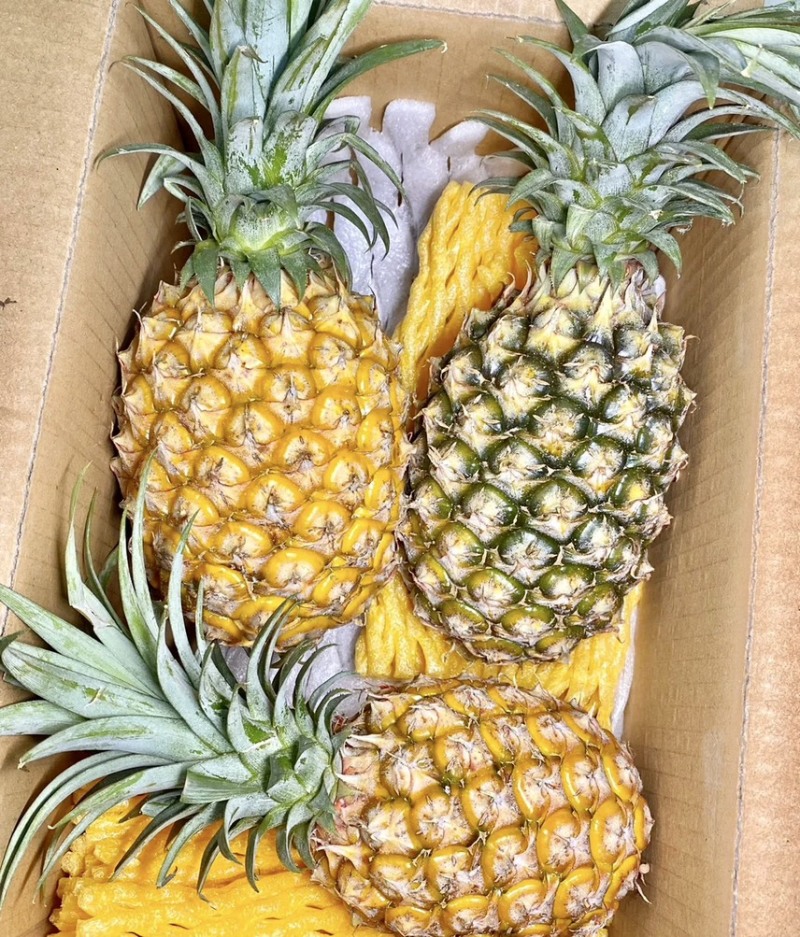 【推荐】菠萝基地货源量大从优可视频看货一手货源