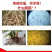 【推荐】微生物菌剂-枯草芽孢杆菌厂家直发量大优惠