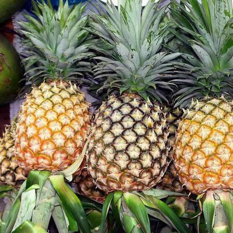 凤梨新鲜应季水果非菠萝爆甜多汁现摘现发。