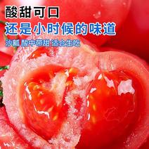【牛商推荐】元谋西红柿番茄对接商超品质保证可视频