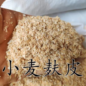 ｛优质麸皮｝小麦麸皮，牛羊高蛋白饲料质量保证全国发货