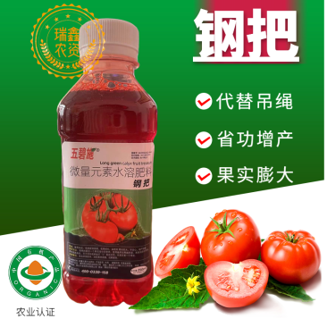 西红柿专用点花药免吊绳钢把番茄蘸花药代替吊蔓省工省时
