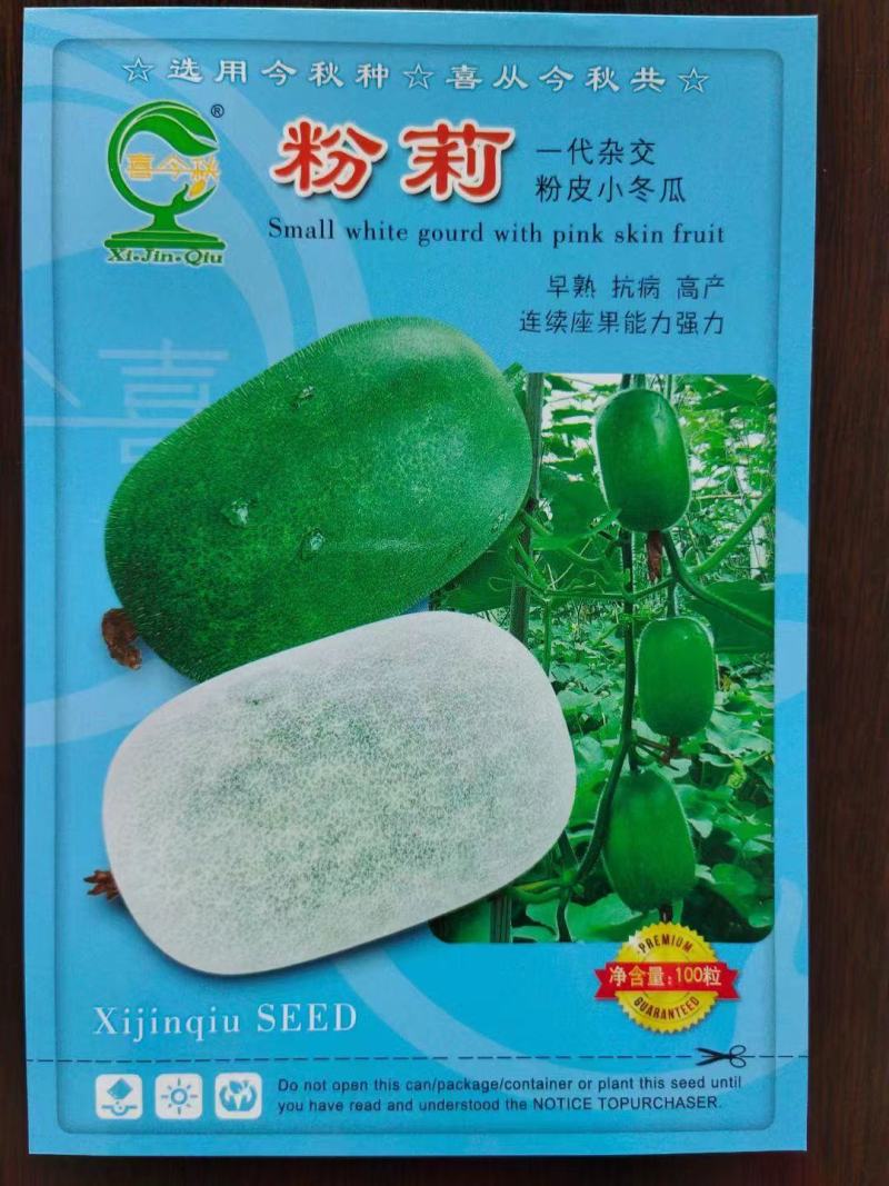粉莉粉皮水果小冬瓜杂交早熟白肉口感香糯高产