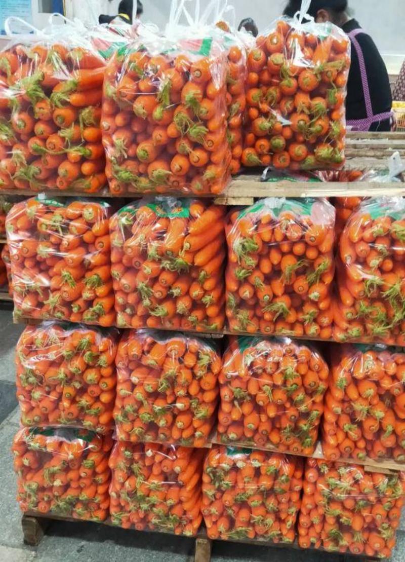 【推荐】商丘三红胡萝卜，大量供应超市市场电商！保证质量！