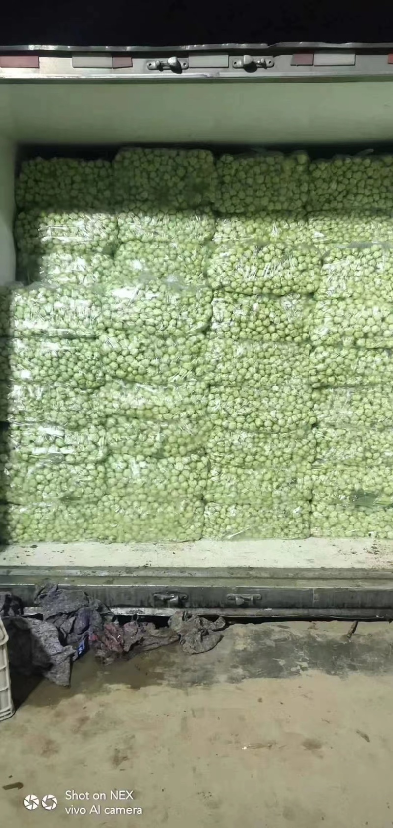 【推荐】精品上海青大量上市货源充足品质保证欢迎选购