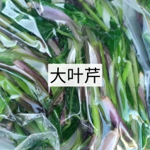 东北特色山野菜速冻包装！纯野生山菜，嫩菜！