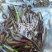 东北特色山野菜速冻包装！纯野生山菜，嫩菜！